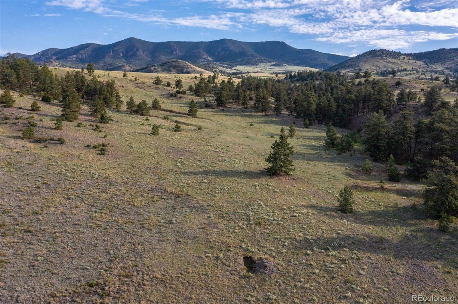 Property Photo: 0 Big Buck Road CO 80820