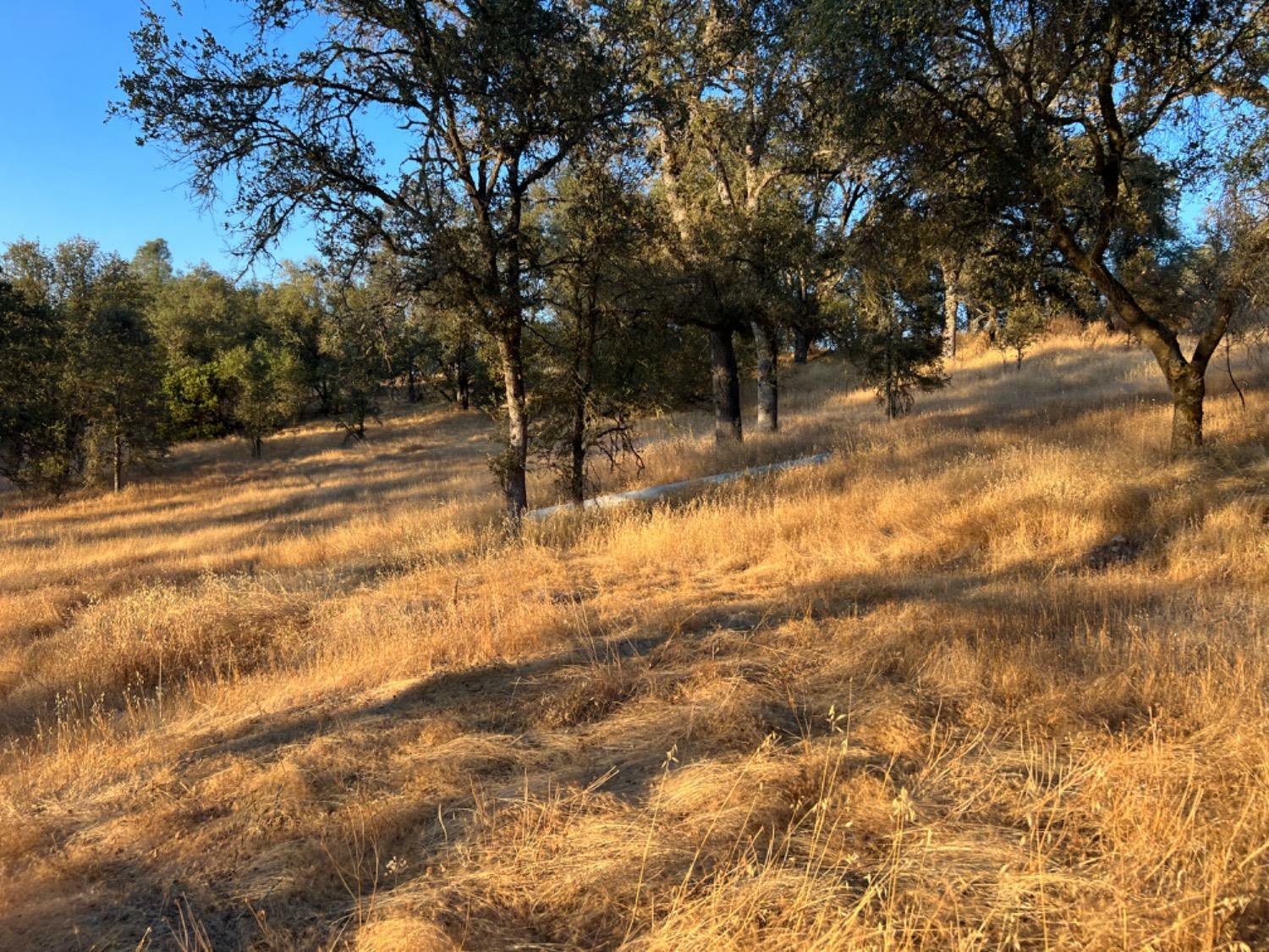 Property Photo:  3906 Highway 49  CA 95245 