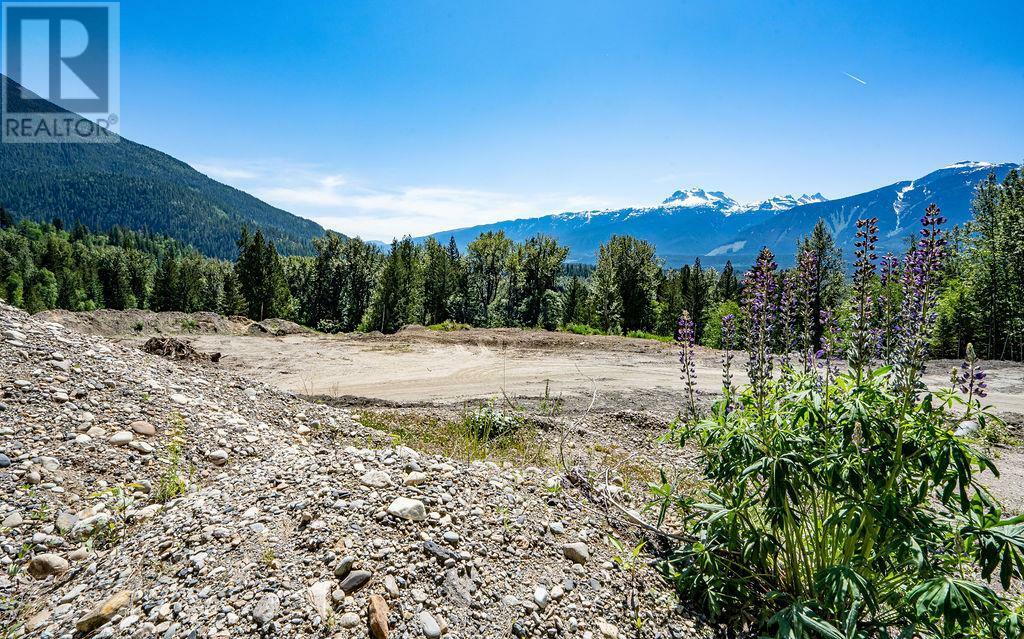 9 Proposed Lot #9 150 Townley Street  Revelstoke BC V0E 2S0 photo