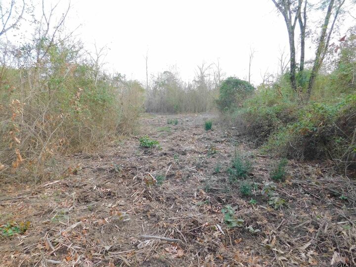 Property Photo:  Tbd Fm 852  TX 75644 
