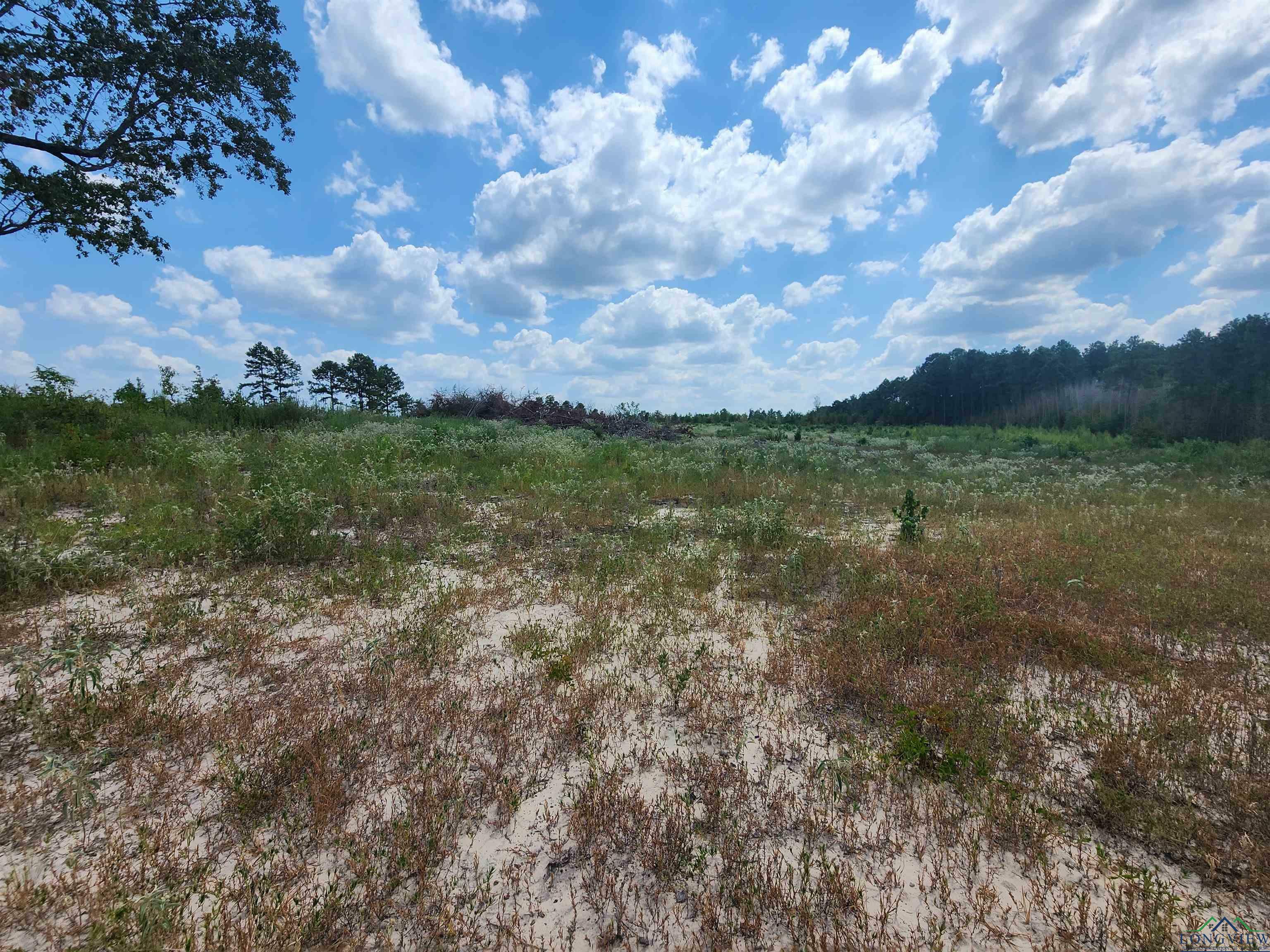 Property Photo:  16.5 Acres Tbd Cr 1762  TX 75563 