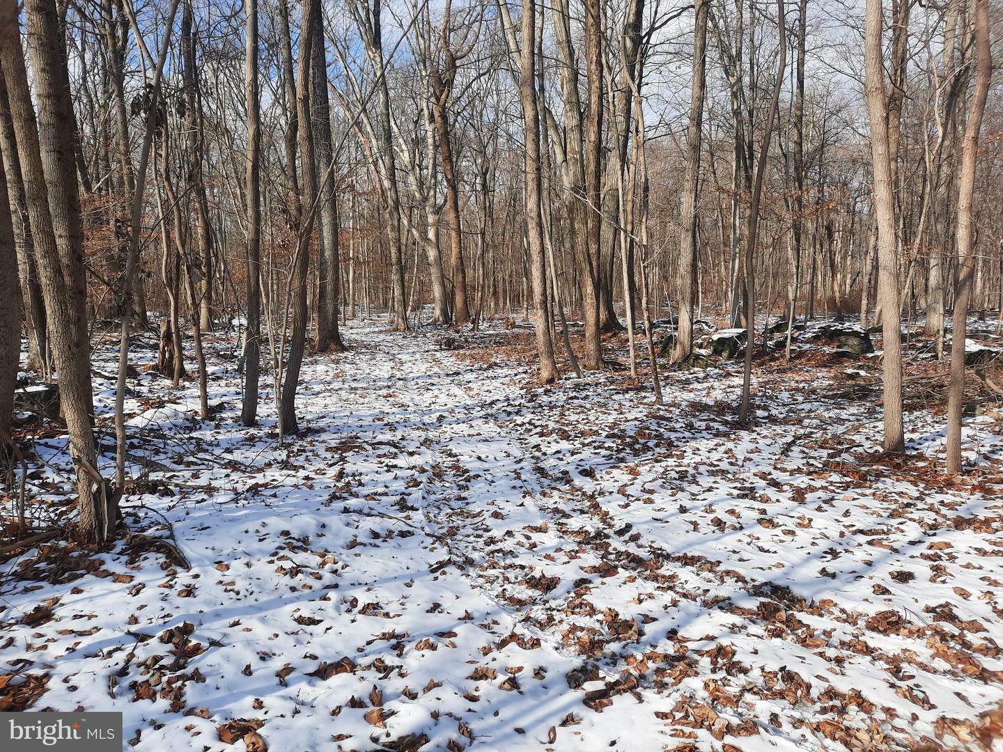 Property Photo:  214 Perry Auger Road  PA 18972 