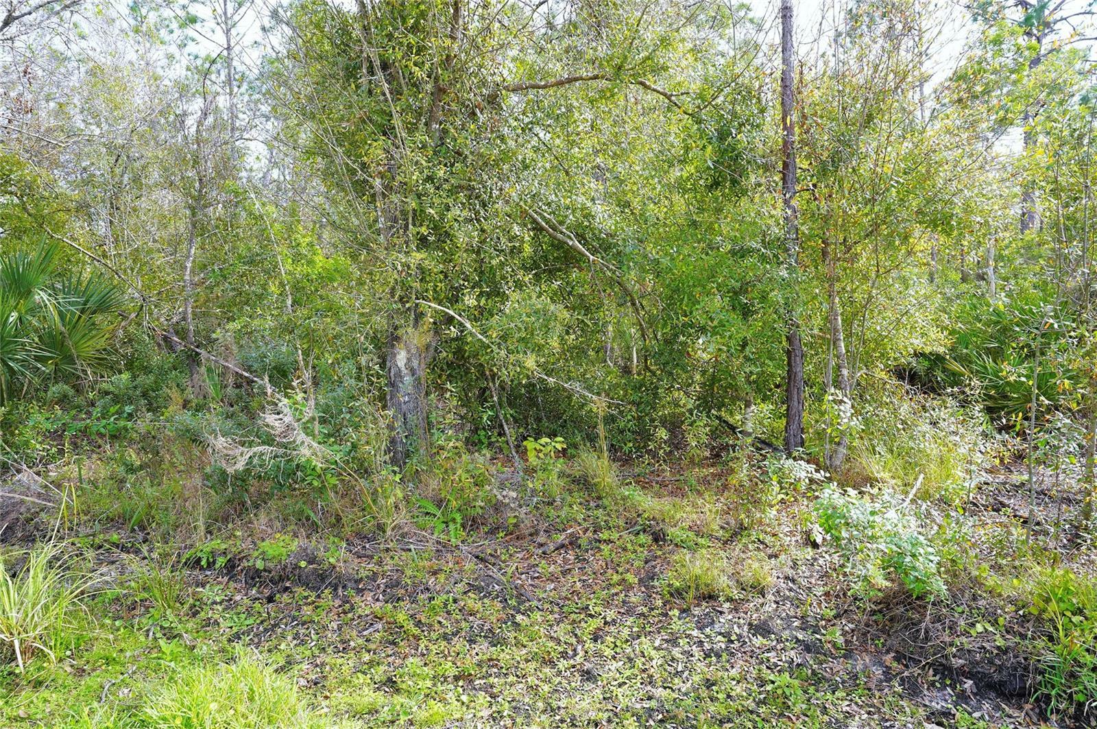Property Photo: 23447 Corinne Avenue FL 33980