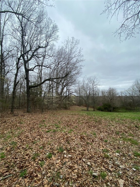 Property Photo:  Lot 6 Old Capps Road  AR 72601 