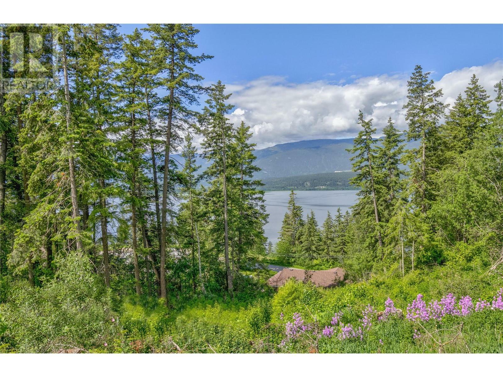 Property Photo:  3541 20 Street Northeast  BC V1E 2G9 