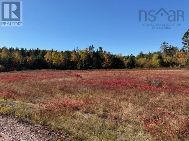 Photo de la propriété:  100 Acres Spencers Beach (Hwy 209) Road  NS B0M 1S0