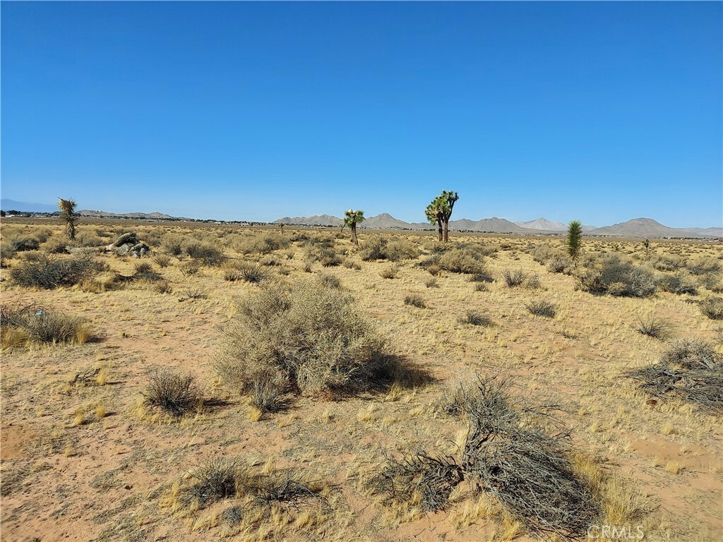 Property Photo: 0 Tokata Parcel 0437-603-03 Road CA 92307