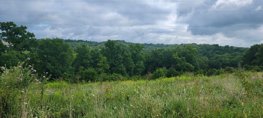 Property Photo:  15711 Pfanstiehl Road  KY 41033 