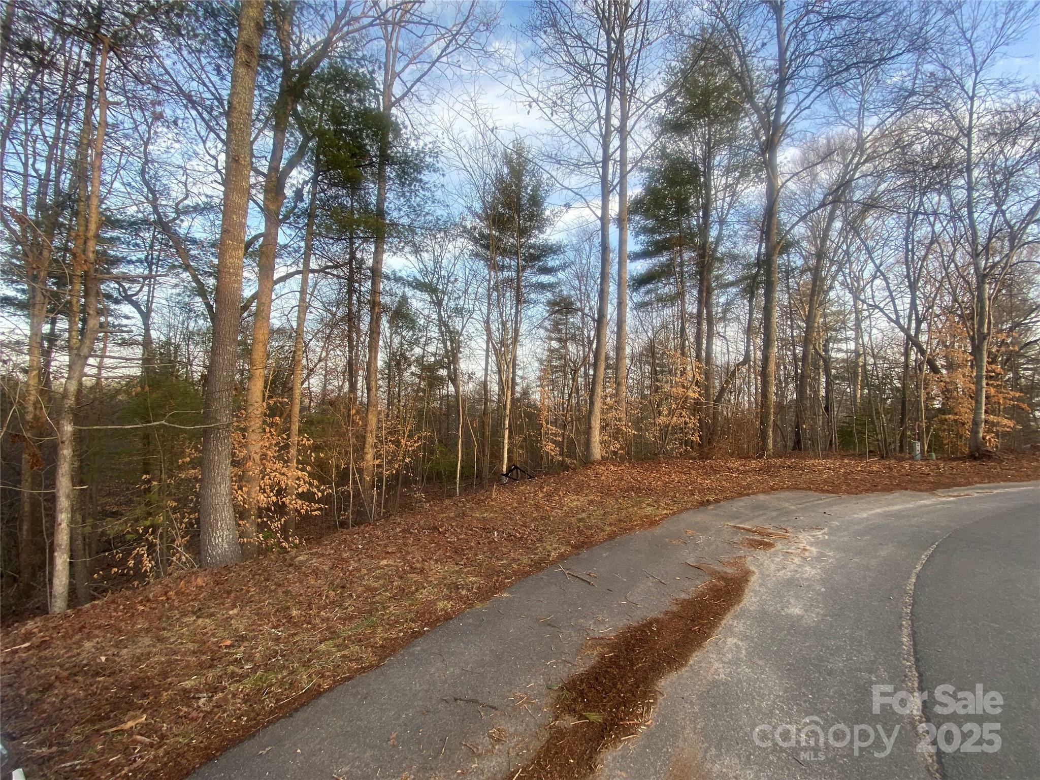 Property Photo:  211 Horse Shoe Lane  NC 28655 