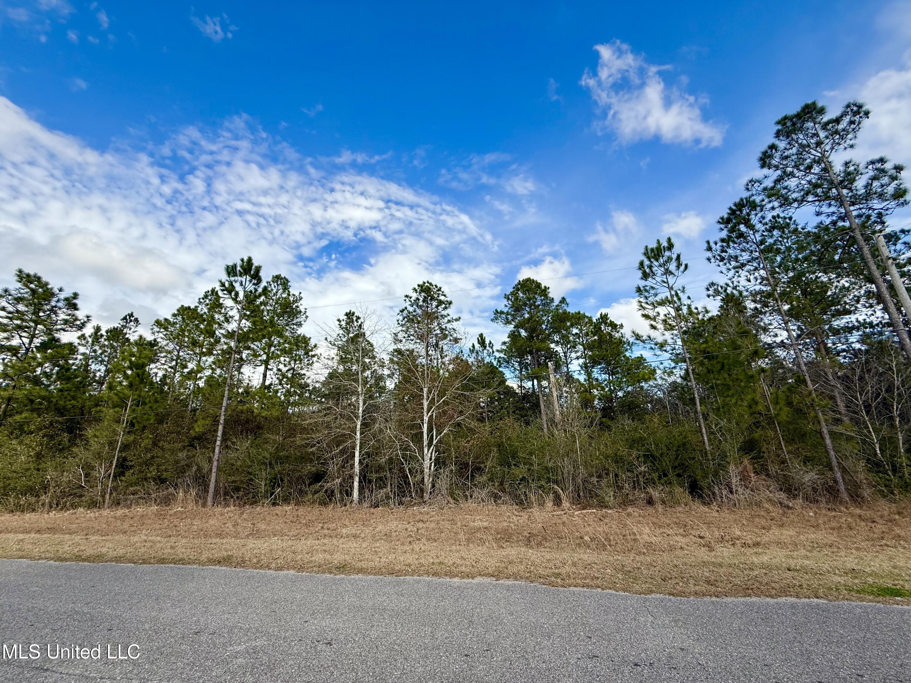 Property Photo: Lot 61 W Edgewood Drive MS 39574