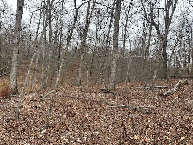 Property Photo:  0 County Rd 606  OK 74964 