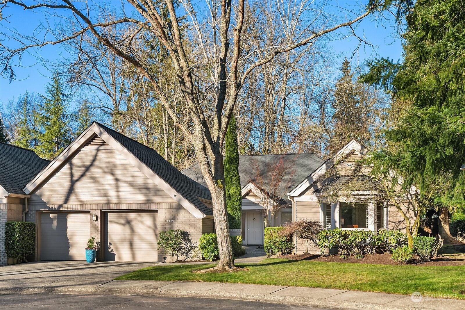 Property Photo:  1810  Bellevue Way NE  WA 98004 