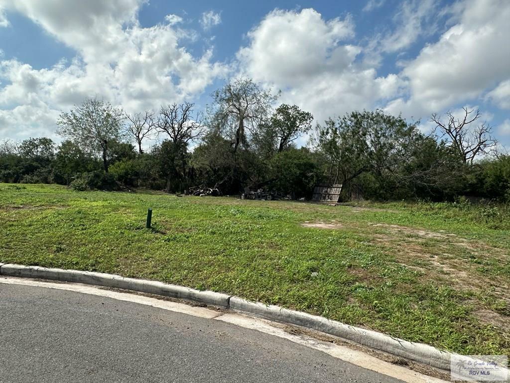 Property Photo: 0000 Girona Circle TX 78521