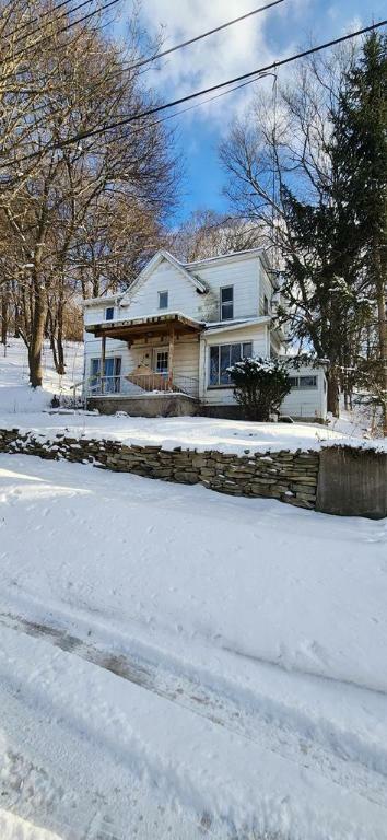 Property Photo:  98 Catherine Street  NY 14843 