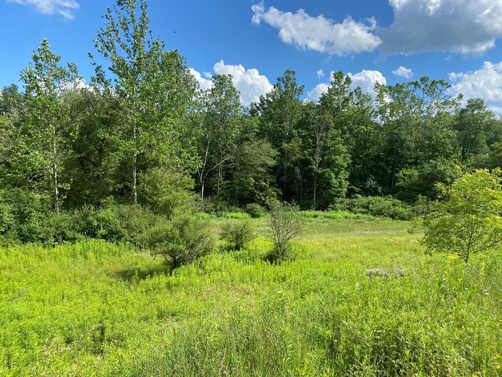 Property Photo:  0 County Route 100  NY 14801 