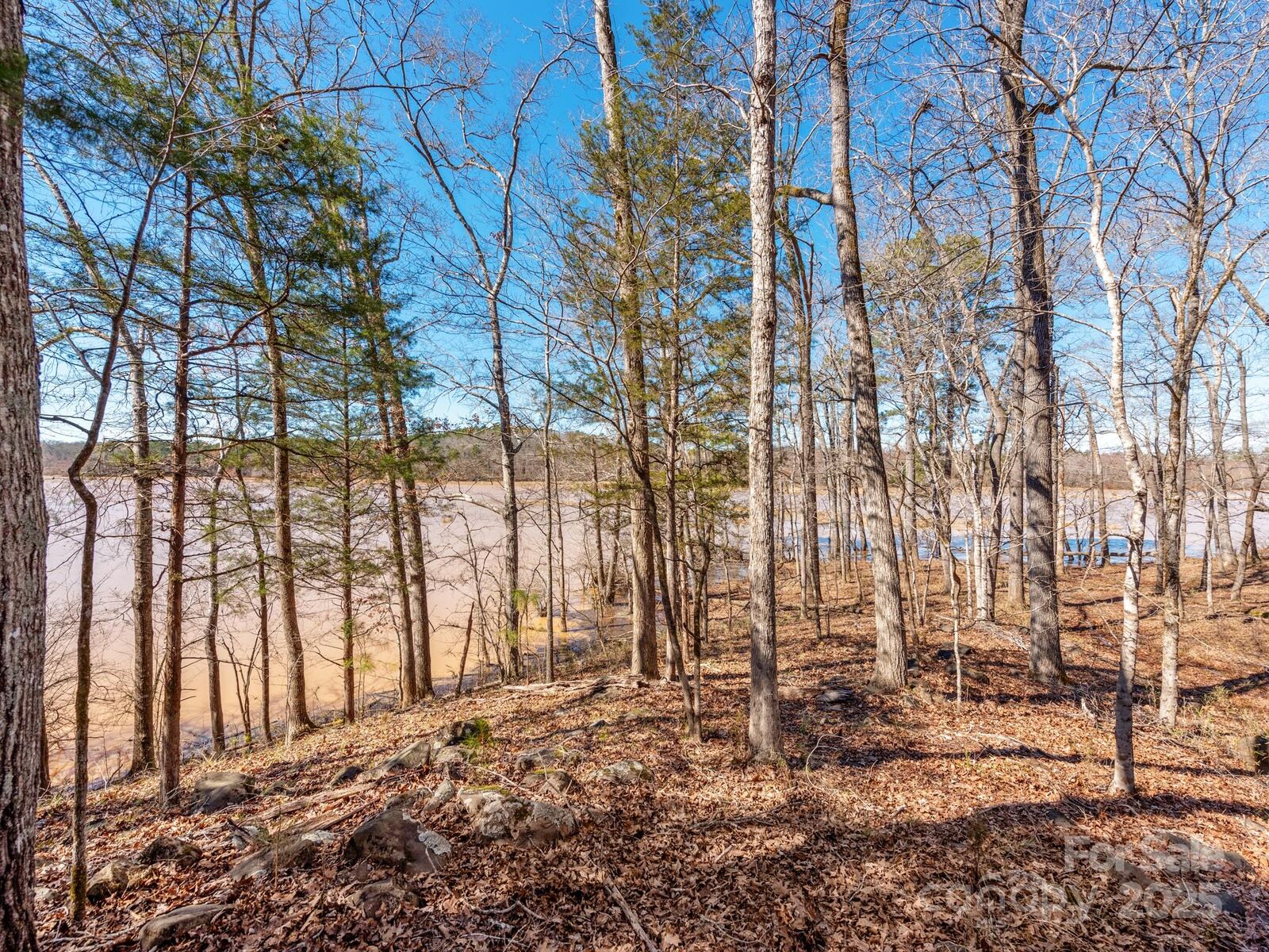 Property Photo:  98 Great North Road  SC 29180 