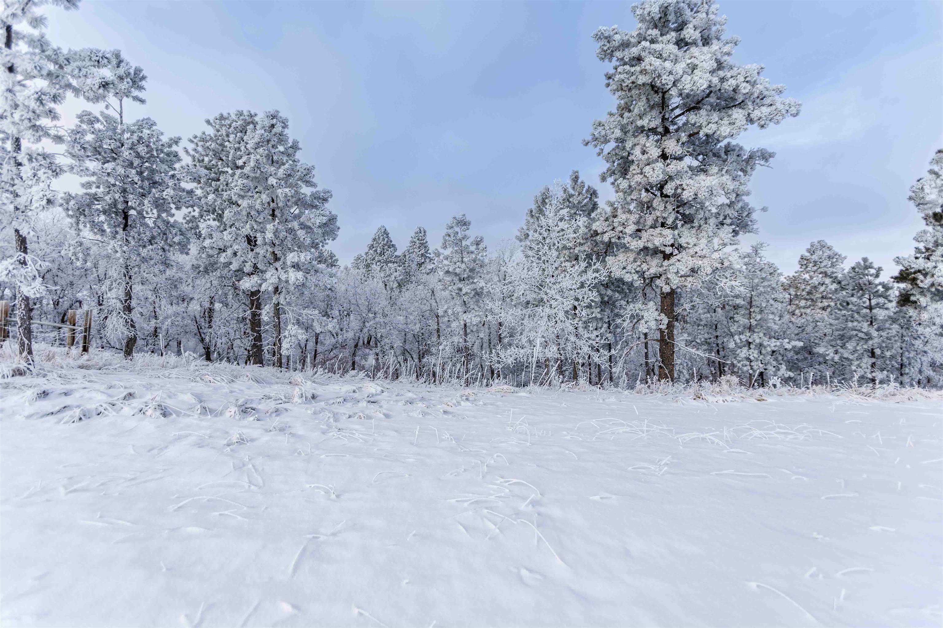 Property Photo:  Lot 3 Niobrara Drive  SD 57793 