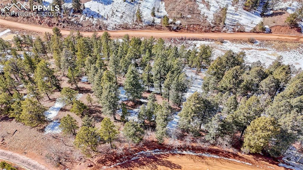 Property Photo: 626 Little Topsey Drive CO 80813