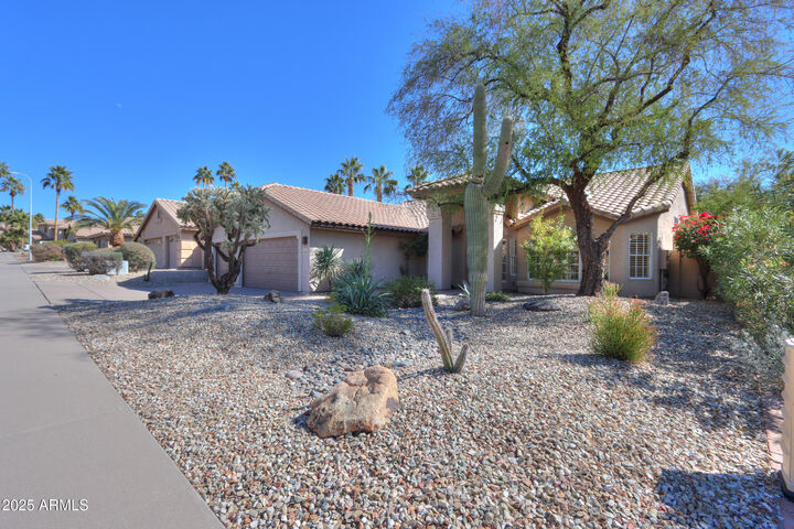Property Photo: 309 E Mountain Sky Avenue AZ 85048
