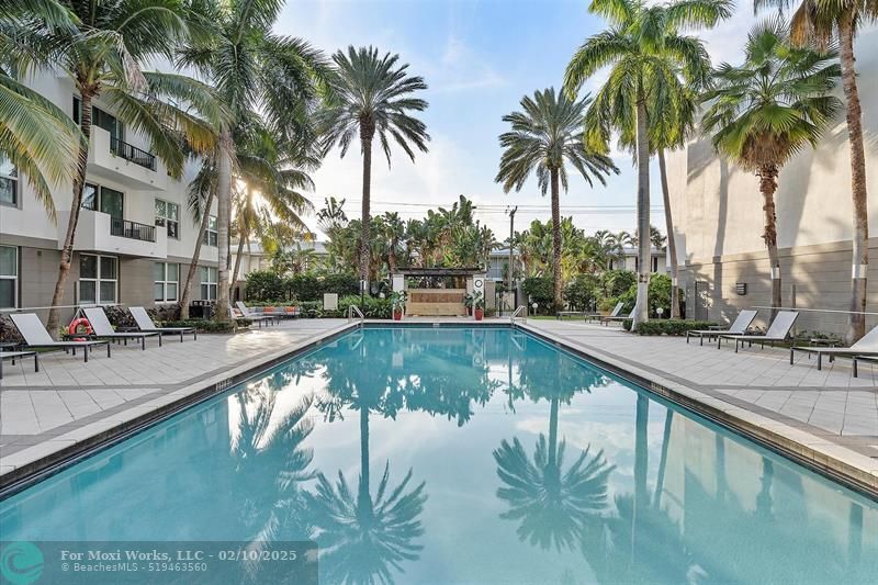Property Photo: 2401 NE 65th St 203 FL 33308