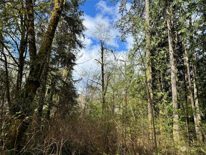 Property Photo:  12512  Westbrook Drive SW  WA 98367 