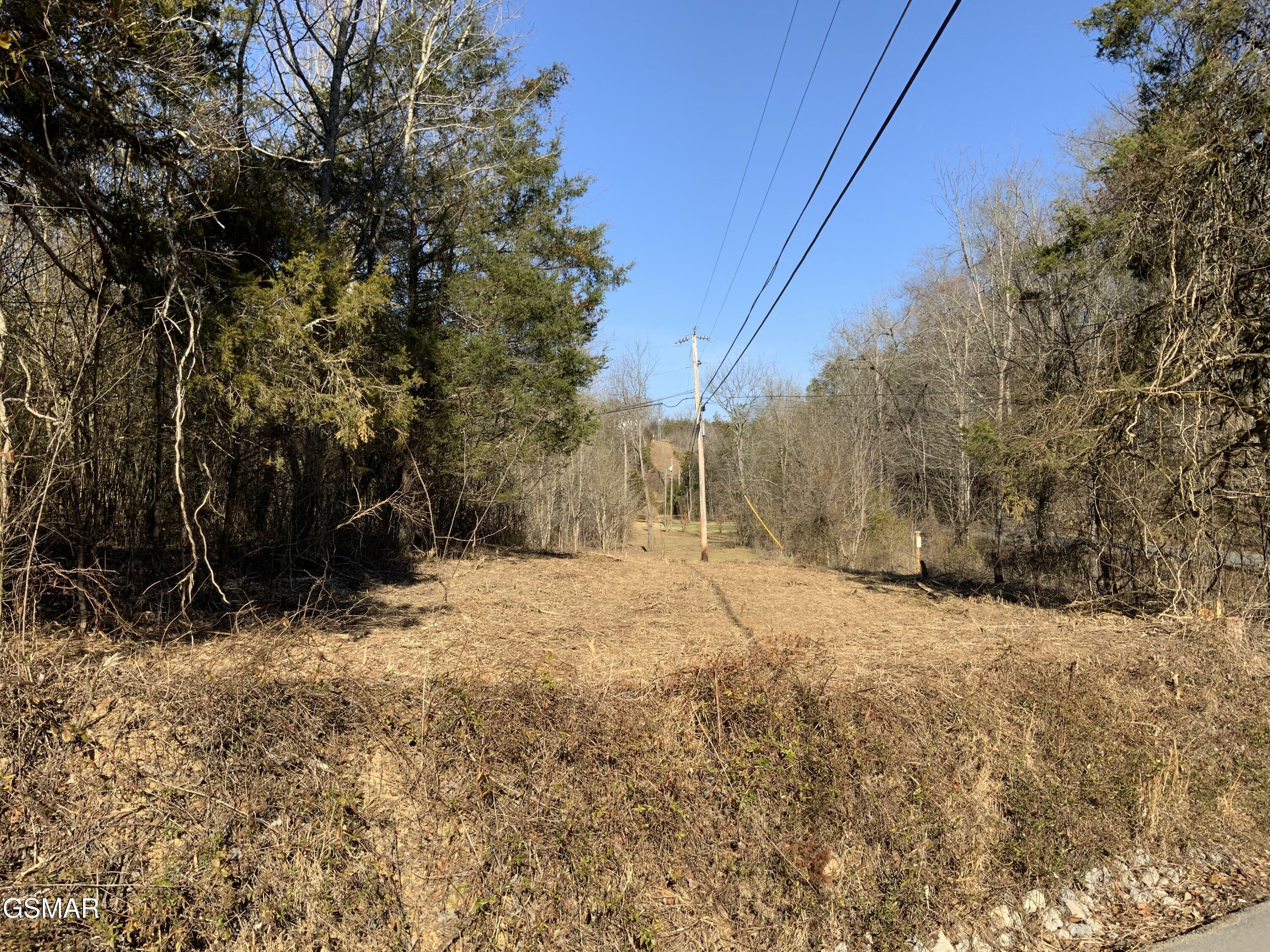 Property Photo:  Lot 1 McCarter Hollow Road  TN 37862 