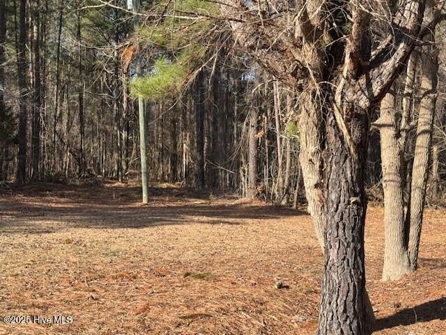 Tbd Highway 461  Ahoskie NC 27910 photo