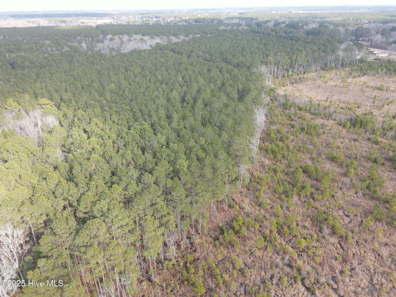 Property Photo:  Tbd Highway 461  NC 27910 