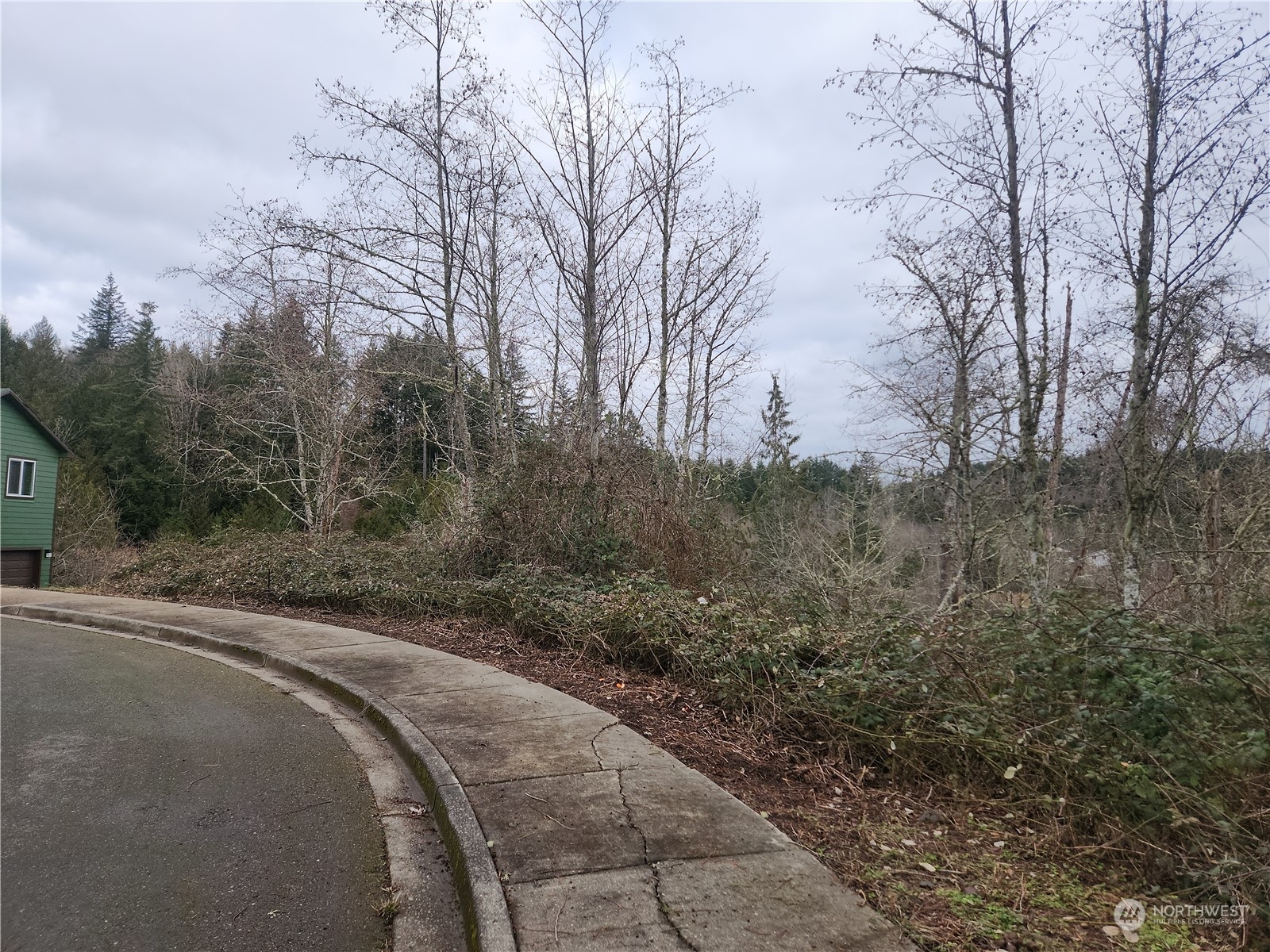 1700  Maple Valley Drive  Centralia WA 98531 photo