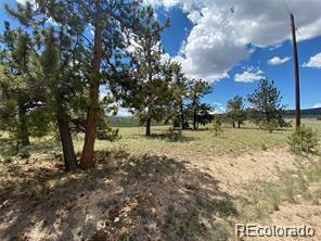 Property Photo:  322 Angus Circle  CO 80449 