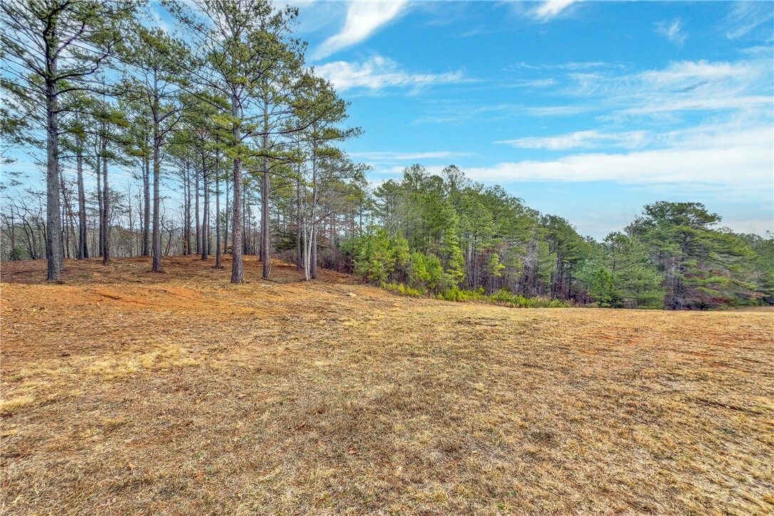 Property Photo:  321 Golden Bear Drive  SC 29685 