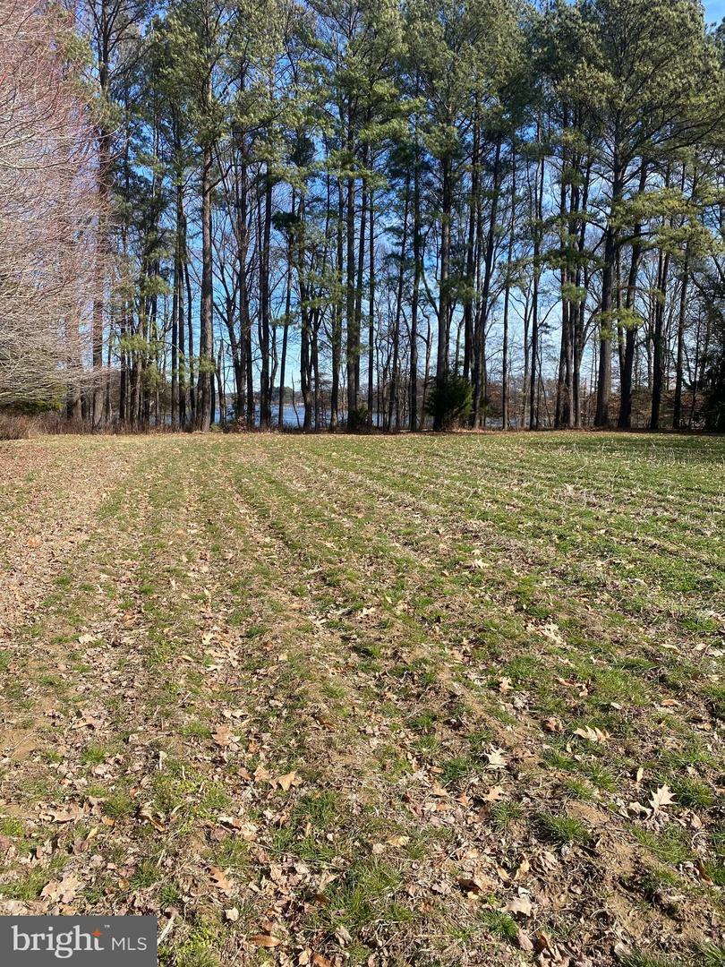 Property Photo: Walnut Point Road MD 21620