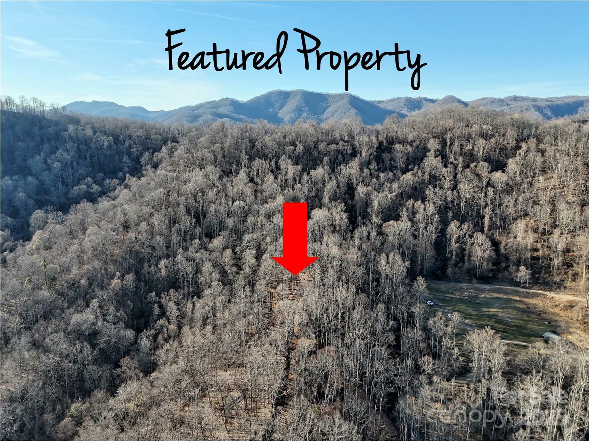 Property Photo:  672 Porters Ridge  NC 28716 