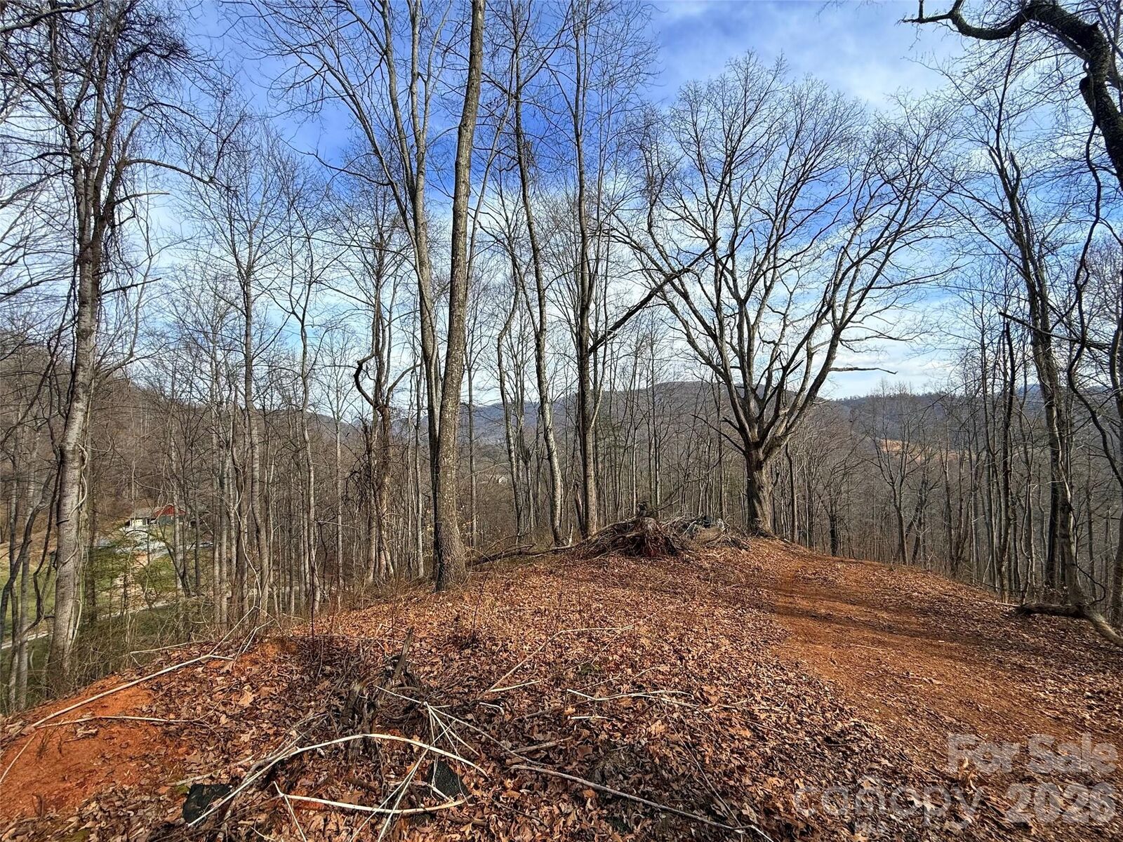 Property Photo: 672 Porters Ridge NC 28716
