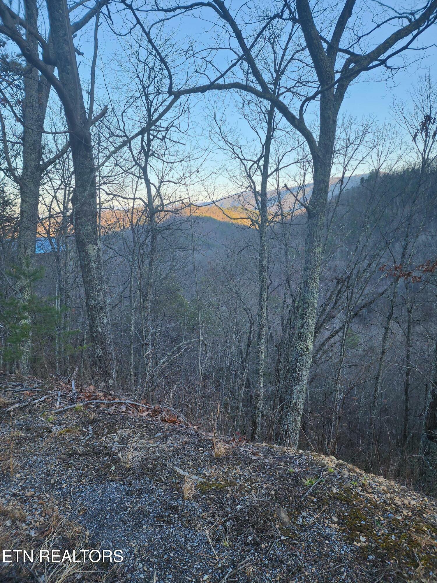 Property Photo:  Overholt Trl Lot 3B  TN 37862 