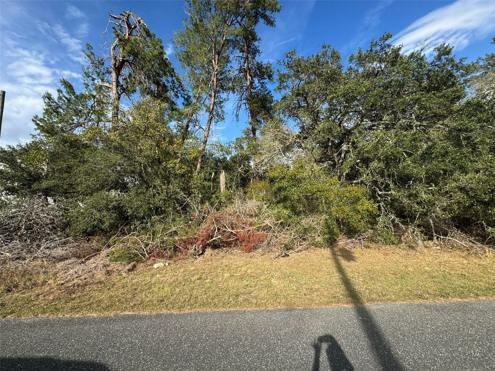 Property Photo:  0 SW 27th Terrace Road  FL 34473 