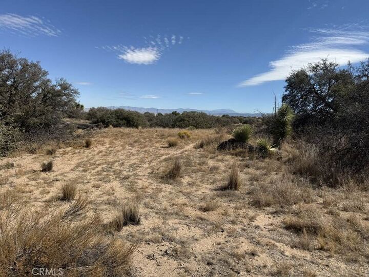 Property Photo:  8135 Joshua Street  CA 92371 