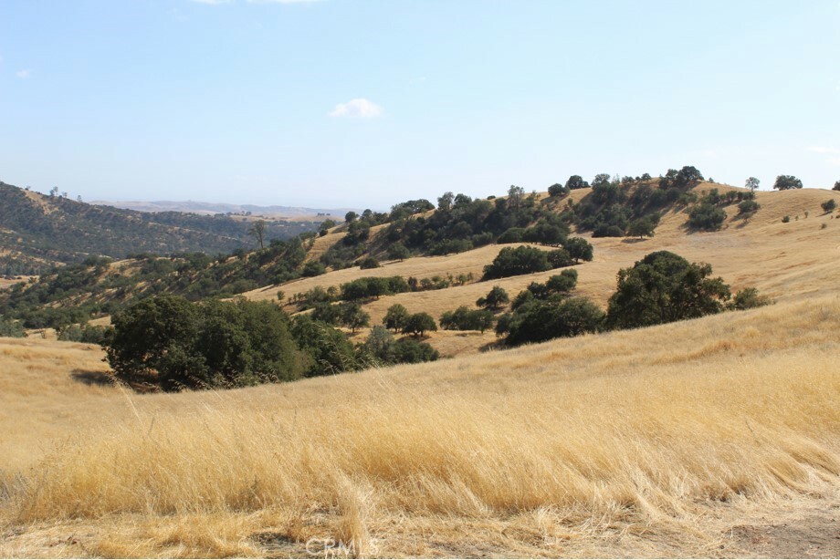 Property Photo:  71902 Vineyard Canyon Road  CA 93451 