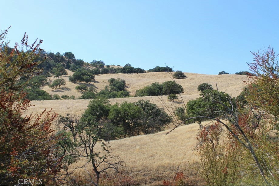 Property Photo:  71901 Vineyard Canyon Road  CA 93451 