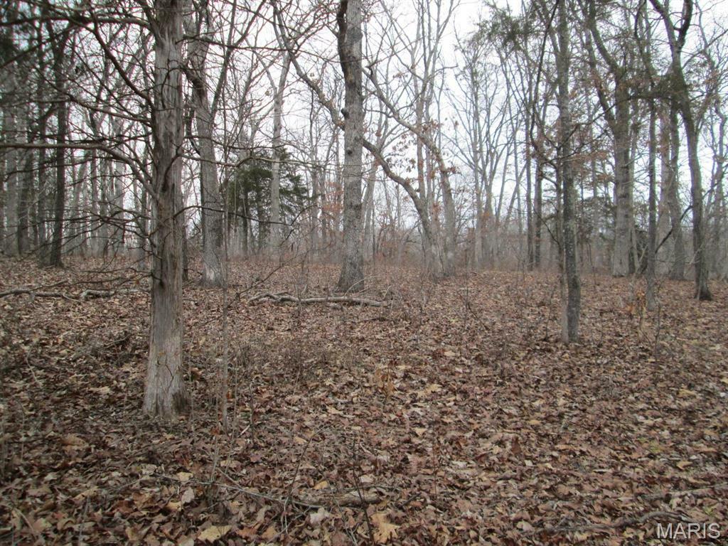 Property Photo: 0 Mo-30/Gravois Rd MO 63077