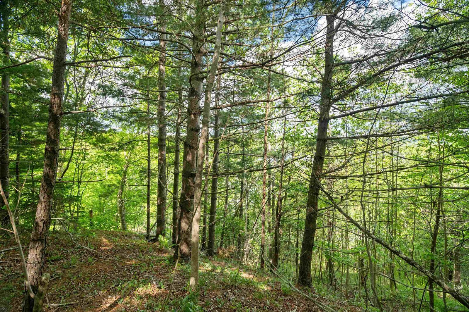 Property Photo:  27 Copperhead Road  NS B2T 1W2 