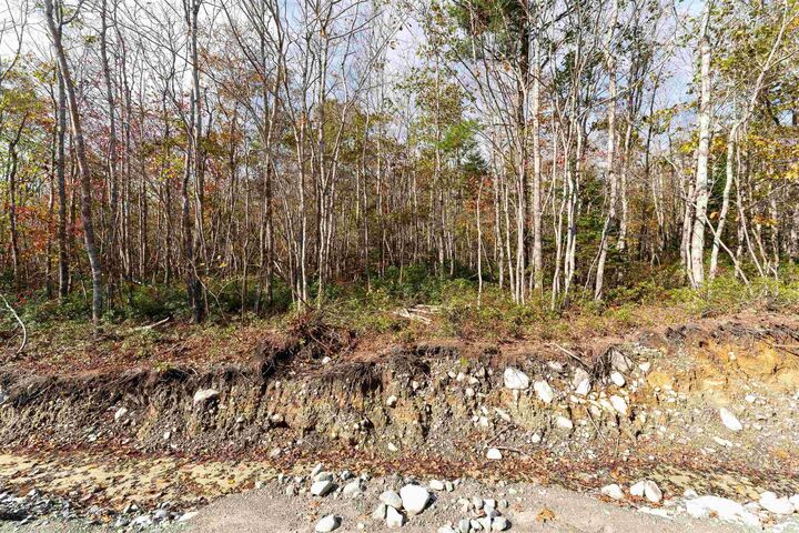 63 Morton Drive — photo 1