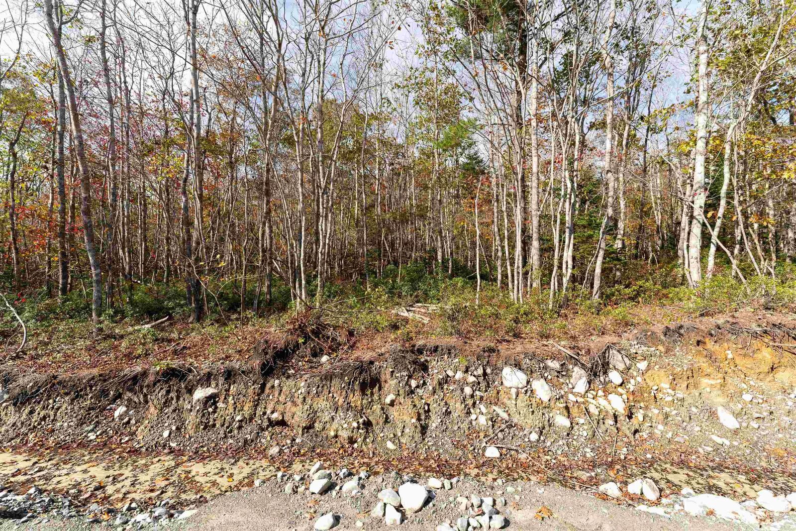 Property Photo: 63 Morton Drive NS B0T 1K0