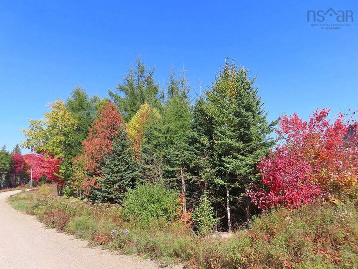 Property Photo:  62 Acres West Side Road  NS B0H 1J0 