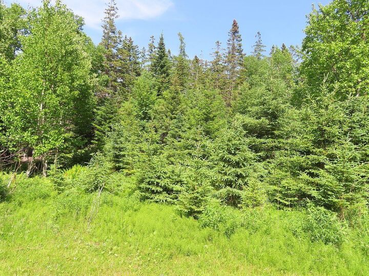 Property Photo:  99-5 72 Naturer Dream P Boulevard  NS B0E 3B0 