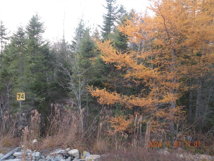 Property Photo:  74 Meek Arm Trail  NS B0N 1Z0 