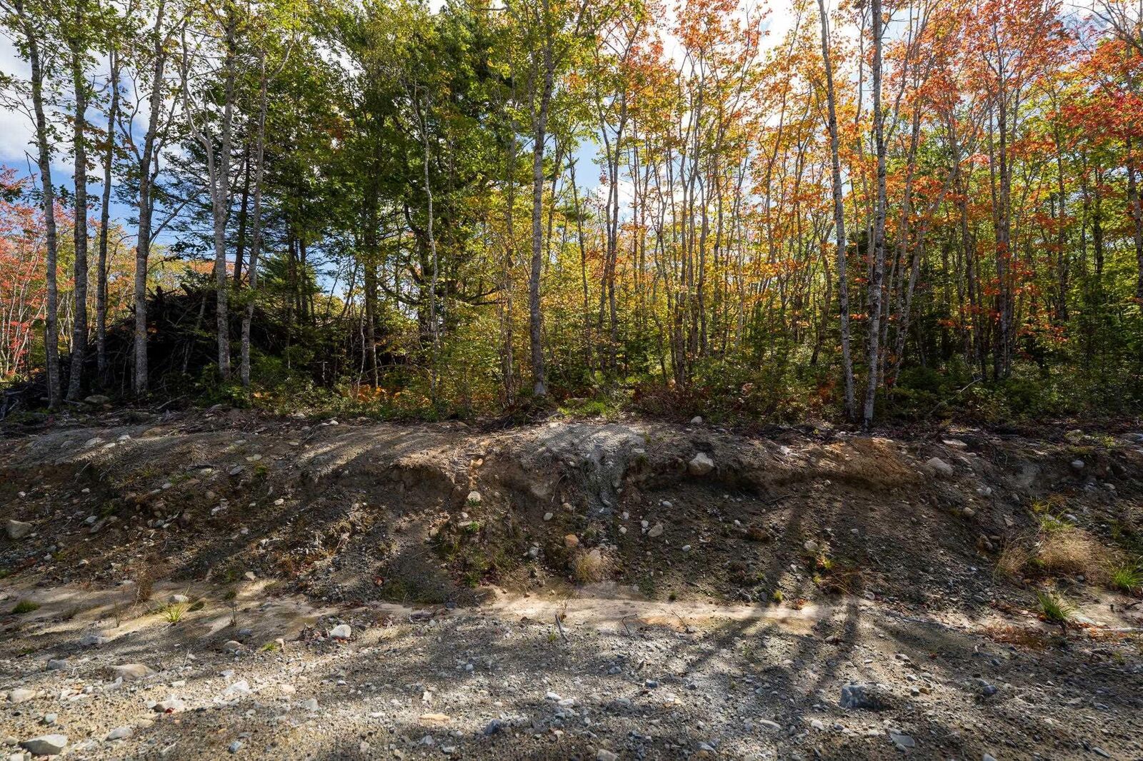 Property Photo: 90 Morton Drive NS B0T 1K0