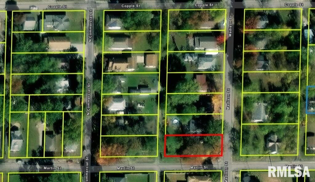 Property Photo:  0 Madison Street  IL 62812 