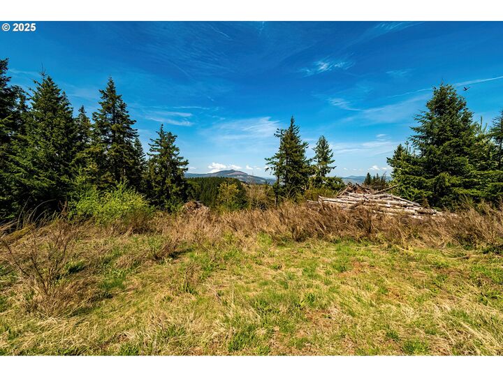 Property Photo:  5195 York Hill Dr  OR 97031 
