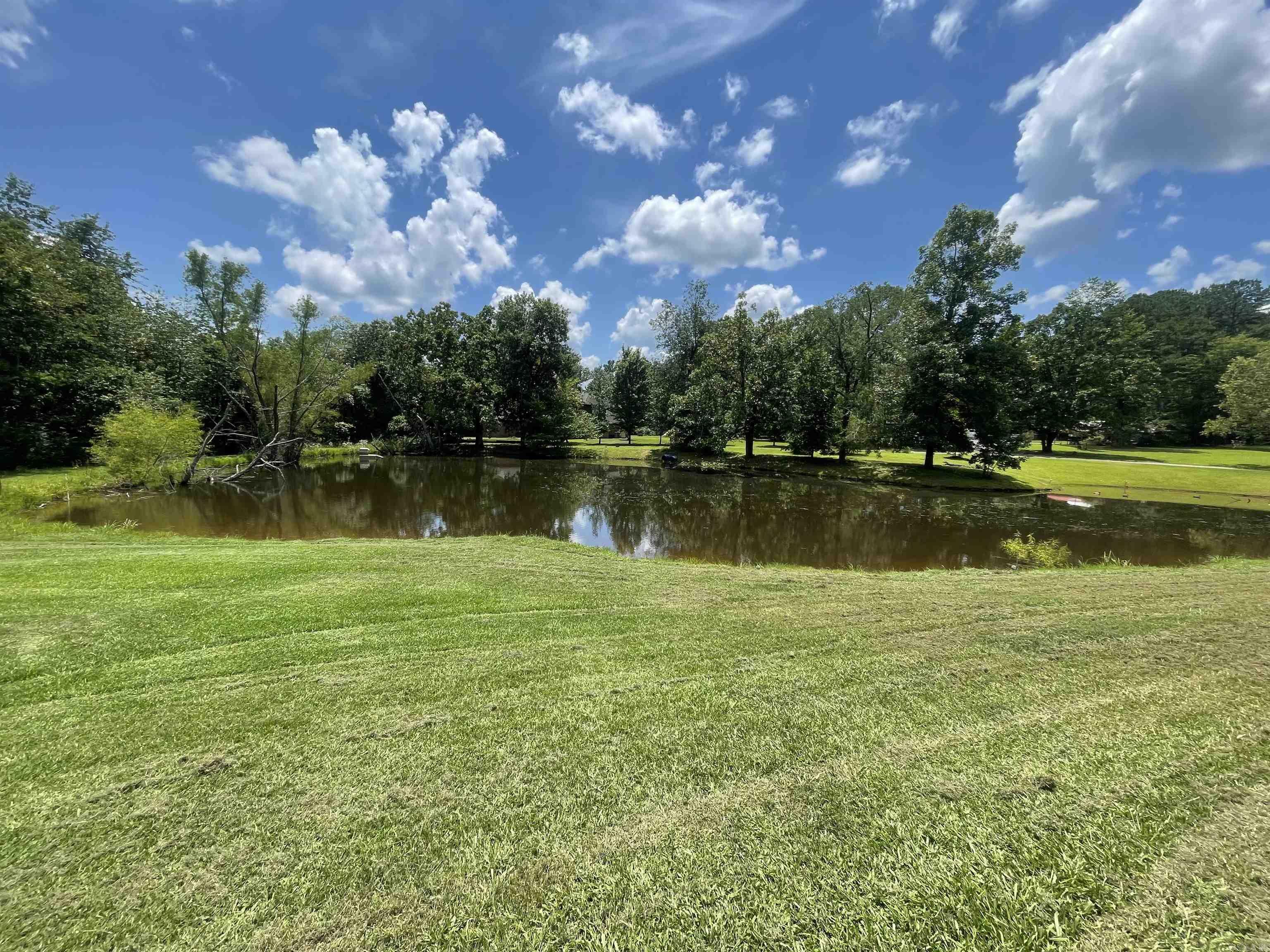 Property Photo: 201 W Bullion AR 71953